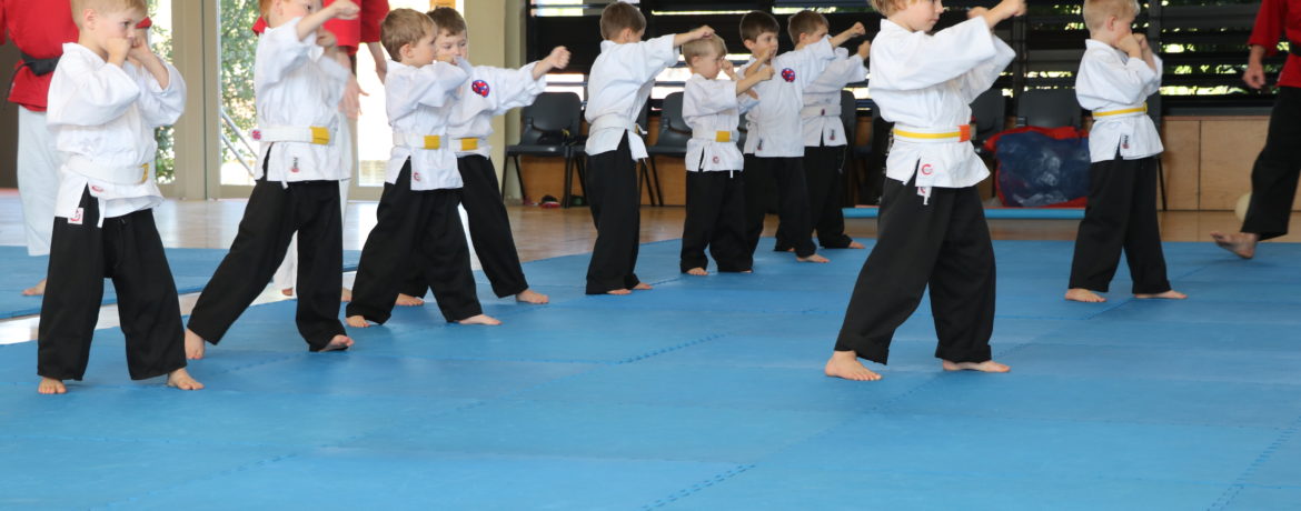 kids karate